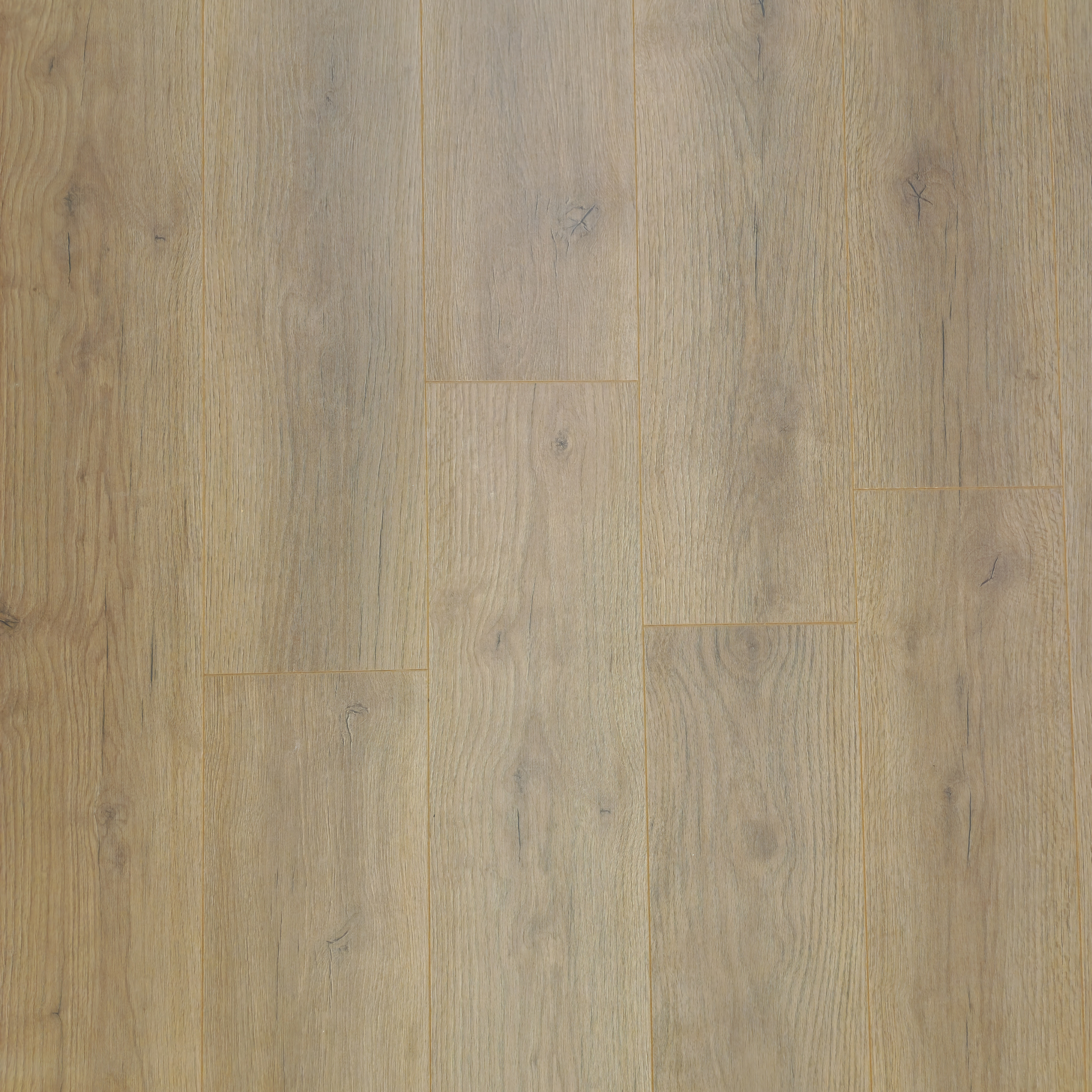 palewood-oak-luxury-8mm-waterproof-laminate-flooring-19