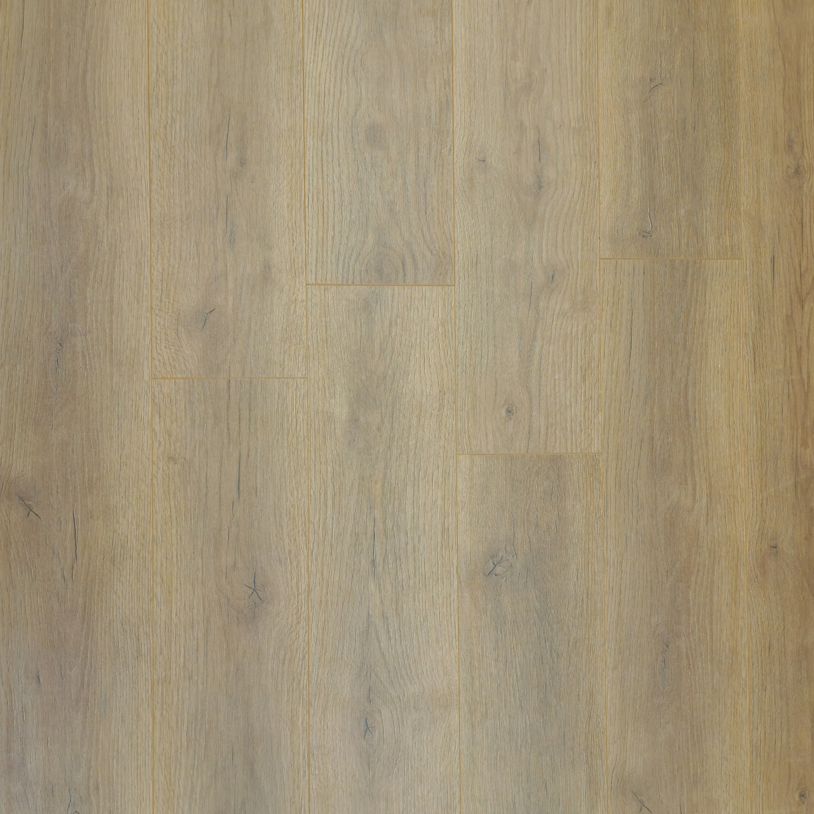 palewood-oak-luxury-8mm-waterproof-laminate-flooring-17