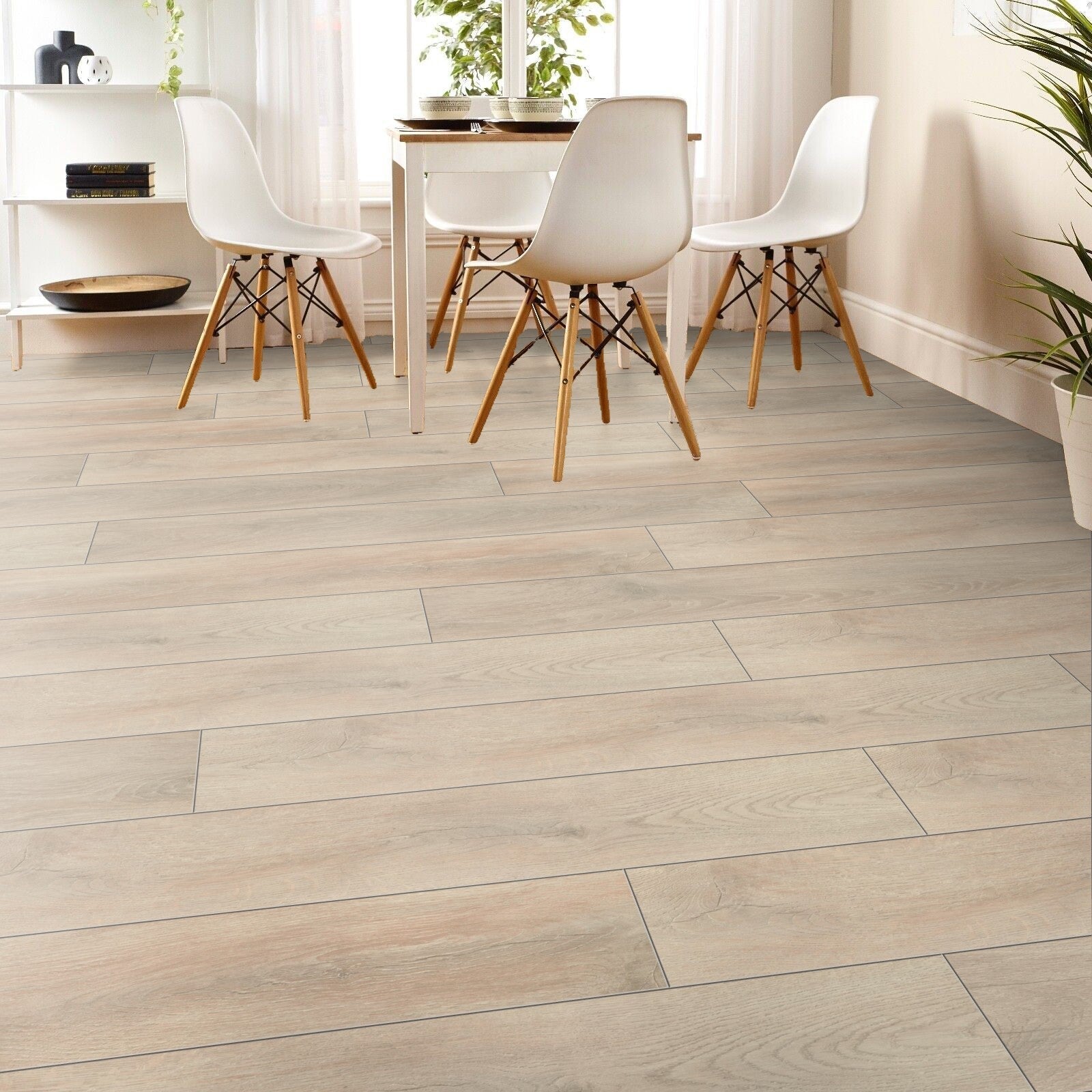 STEP Click Plus Talas 8mm Laminate Flooring